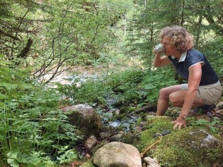 Mreža vodnih poti v Kamniško-Savinjskih Alpah (2)